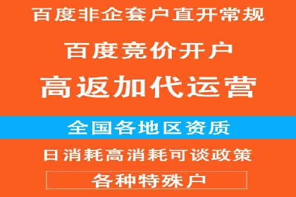 经典案例：SEM代运营服务公司的成功之路
